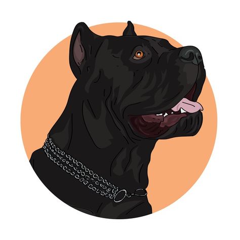 Cane Corso Drawing, Cane Corso Art, Cane Corso Italian Mastiff, Presa Canario, Autodesk Sketchbook, Dog Things, Vector Portrait, Drawing Inspo, Cane Corso