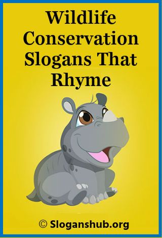 67 Best Wildlife Conservation Slogans & Sayings Slogan Ideas About Nature, Save Wildlife Poster Ideas, Slogan On Save Environment, Conservation Quotes, Save Wildlife Poster, Wildlife Conservation Poster Drawing, Save Wildlife Slogans, Best Slogans, Save Tiger Slogan