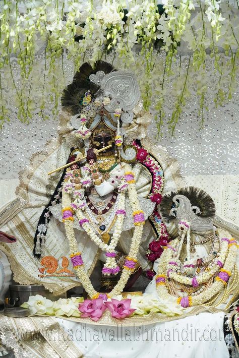 Radhavallabh Vrindavan Wallpaper, Radha Vallabh Ji Vrindavan, Radhavallabh Ji, Hit Harivansh, Radhavallabh Lal, Mero Vrindavan, Radhe Govind, Vrindavan Photography Pictures, Radha Raman