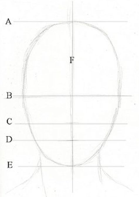 Facial proportion Face Front View, Proportions Of The Face, Face Illustrations, Drawing Tut, Eye Drawing Tutorials, Drawing Tutorial Face, Drawing Lesson, Nose Drawing, 얼굴 그리기