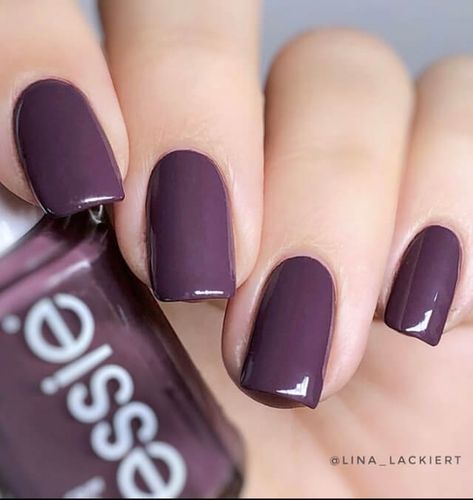 Nail Color For Women Over 50, October Nail Colors 2022, Nail Color Fall 2022, Fall Colors For Nails Autumn, Dark Fall Nail Colors Gel, Nail Colors That Go With Everything, Simple Autumn Nails Short Square, Fall Nails 2022 Color Trends Short Square, Trendy Fall Nail Designs 2022