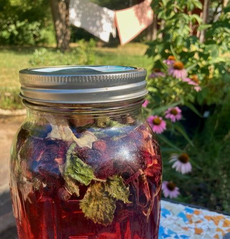 Feeling lazy but still want something fresh and homemade to drink? Let sun do the work! This sun tea recipe is great for an off grid treat or those who are conscious about electricity consumption. The combination of rose and hibiscus with a hint of lemon balm will make your mouth happy and your body thank you ! Sun Tea Recipe, Sun Tea Recipes, Sun Tea Jar, Hawthorn Berries, Lemon Jam, Sun Tea, Electricity Consumption, Feeling Lazy, Summer Loving