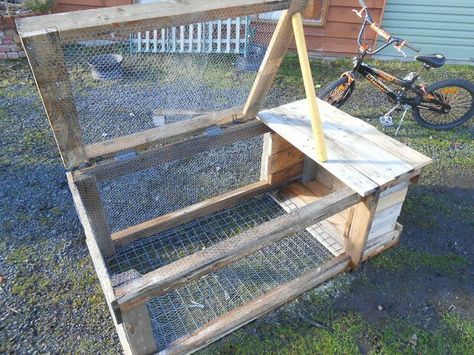 Hutch design Pallet Rabbit Hutch, Rabbit Hutch Ideas, Rabbit Hutch Plans, Diy Rabbit Cage, Diy Rabbit Hutch, Chicken Coop Pallets, Hutch Ideas, Meat Rabbits, Bunny Hutch