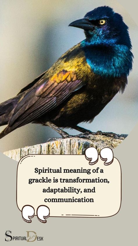 The spiritual meaning of a grackle is transformation, adaptability, and communication. As a totem animal, it inspires us to embrace change, be resourceful, and express ourselves authentically. #express #inspire #inspires #communication #transformation #meaning Grackle Bird Spiritual Meaning, Grackle Bird, Bird Meaning, Common Grackle, Totem Animals, Native American Totem, Totem Animal, Embracing Change, Symbolic Representation