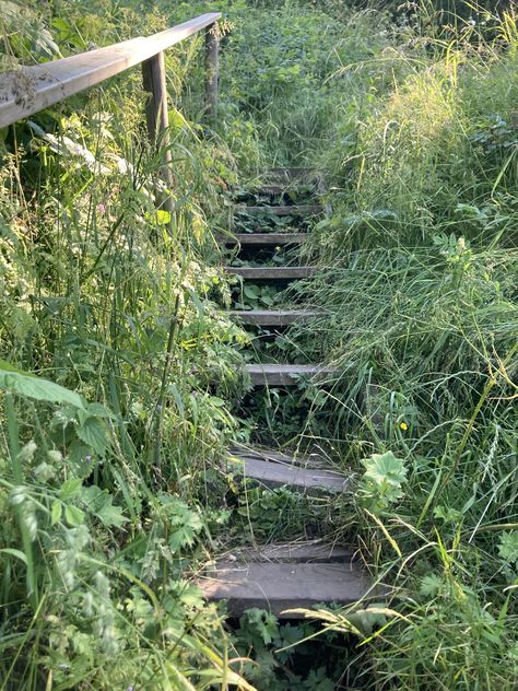 Overgrown Forest Aesthetic, Green Colour Aesthetic, Overgrown Aesthetic, Colour Aesthetic, Elliott Smith, Forest Core, Green Colour, Nature Aesthetic, Go Outside