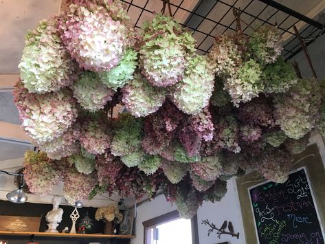 Hydrangea Cloud, Limelight Hydrangeas, Limelight Hydrangea, Flower Installation, Hydrangea Wreath, Flowers Dried, Ceiling Hanging, Woodland Theme, Salon Ideas