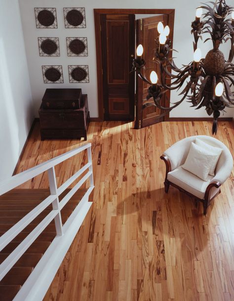 Woods. Dark trim and light floor. Nice honey warm combo. I don't like the grainy look of the floor, but I like the light and dark contrast. Tigerwood Flooring, Dark Wood Trim, Maple Hardwood Floors, Tiger Wood, Dark Trim, Light Wood Cabinets, Dark Wood Furniture, Maple Floors, Light Hardwood