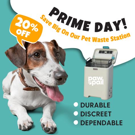 ⏰ This is not a drill! It’s Amazon Prime Day through tomorrow!

Now’s your chance to get your pooch their very own Pet Waste Station for 20% off! Say goodbye to flimsy bags and stinky poop storage!

Get yours here: https://amzn.to/3zyo3RG


#amazonprimeday #primeday #primedaypet #petdeals #dogpoopcontainer #dogpooptrash #petwastemanagement #petwastestation #poopbags #dogpoop #dogpoopbags #bestdogpoopbags #dogproducts #dogblog #toprateddogproducts #dogmusthaves Pet Waste Station, Pet Waste Bags, Pet Day, Amazon Prime Day, Dog Blog, Dogs Pooping, Prime Day, Outdoor Dog, Air Filter