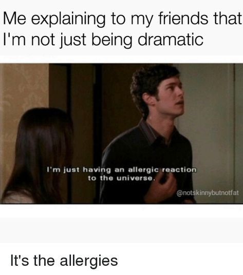 19 Dramatic Memes about Being Way Too Extra - QuotesHumor.com Dramatic Quotes Funny, Middle Child Humor, Dramatic Quotes, Best Funny Quotes Ever, Funniest Quotes Ever, Sweet Memes, Funny Quotes For Kids, Animals Love, Funny Quotes For Teens