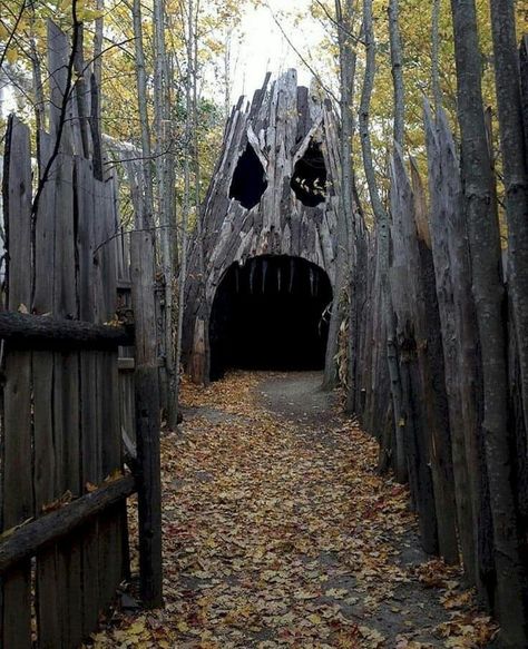 Haunted Overload, Haunted Trail Ideas, Haunted Garden, Halloween Decorations Outdoor Porch, Halloween Outdoor Decoration, Haunted Woods, Halloween Maze, Dekorasi Halloween, Scary Halloween Decorations Outdoor