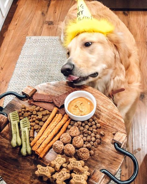 A Dogcuterie Board Is the Tastiest Way to Show Your Pup Some Love Doggie Treats, Food Dog, Dog Bakery, Dog Birthday Party, Dog Rooms, Lazy Dog, Dog Cookies, Dog Party, Puppy Party