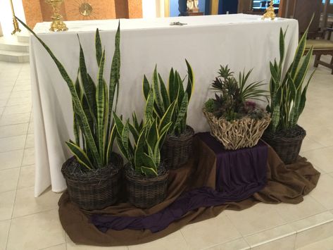 Lent, 2020.  St. Philomena Church, Peoria, IL Ash Wednesday Church Decorations, Lenten Decorations For Church, Lent Decor, Lent Decorations For Church, Leaves Arrangement, Lent Ideas, St Philomena, Church Altar Decorations, Altar Arrangement