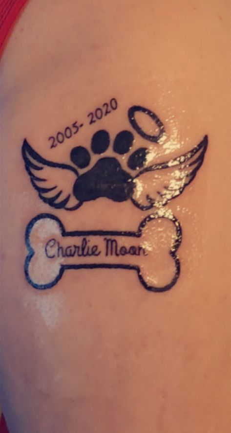 Border Collie Paw Print Tattoo, Paw Print Tattoo Dog Small Ankle, Animal Memory Tattoos, Malinois Tattoo Ideas, Tattoo Ideas Female Dog Paw, Rip Tattoos For Dogs, Tattoo Dedicated To Dog, Cute Tattoos For Dogs That Passed, Memorial Tattoo For Dogs