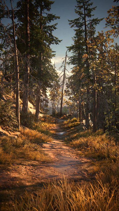 Tlou Scenery Wallpaper, The Last Of Us Nature, The Last Of Us Wallpapers Aesthetic, The Last Of Us Aesthetic Wallpaper, Rdr2 Nature, The Last Of Us Landscape, Tlou Aesthetic Wallpaper, Tlou Landscape, The Last Of Us Scenery