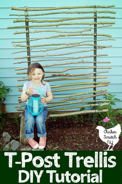 Trellis Made From Branches, Using Branches In The Garden, Branch Trellis Diy, T Post Trellis, Georgia Landscaping, Branch Trellis, Tropical Conservatory, Trellis Diy, Garden Plant Supports