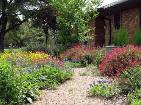 Plano Prairie Garden an inspiration Texas Prairie Garden, Texas Prairie Landscape, Front Yard Prairie Garden, Backyard Prairie Garden, Natural Prairie Landscaping, Prairie Style Garden, Native Prairie Landscaping, Micro Prairie Front Yard, Prairie Garden Ideas