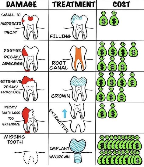 Dental Comics, Dental Assistant Study Guide, Dental Charting, Dental Assistant School, Dental Assistant Study, Dental Posters, Dental Hygiene School, Dentistry Student, Dental Fun