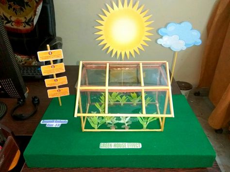 Green house model Greenhouse Model Project, Sst Model Ideas, Green House Model Project, Green House Project For School, Sst Models For Exhibition, Green House Effect Science, Green House Effect Science Project, Science Exhibition Models, Science Models School Projects