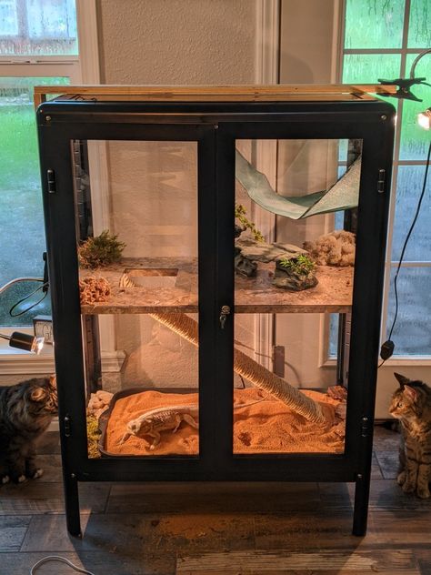 I saw someone post something similar. Here's my version using an IKEA Fabrikor cabinet. I built screens from a screen kit I picked up from Lowes for the sides instead of the glass panels. Used scrap wood and peel & stick flooring for the shelf. Ladder is just a piece of scrap wood wrapped with rope. Dresser Reptile Enclosure, Ikea Bearded Dragon Enclosure, Diy Bearded Dragon Enclosure Furniture, Ikea Reptile Enclosure, Homemade Reptile Enclosure, Diy Lizard Enclosure, Diy Gecko Enclosure, Beardie Enclosure Ideas, Lizard Tank Ideas