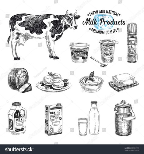 Milk Sketch, Products Sketch, Milk Drawing, Milk Products, Food Sketch, Presentation Design Template, Retro Background, Vector Sketch, Farm Shop