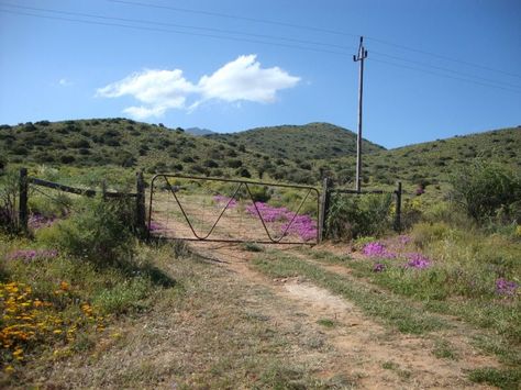 Somewhere on Route 62, South Africa South Africa Nature, South Africa Road Trips, Farm Gates, Country Images, Africa Nature, Texas Landscape, Landscape Reference, Farm Gate, South Africa Travel