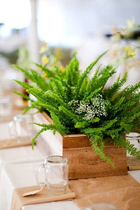 Rustic Wedding Flowers Centerpieces, Fern Centerpiece, Fern Wedding, Succulent Centerpieces, Bridal Shower Centerpieces, Rustic Wedding Flowers, Rustic Wedding Centerpieces, בר מצווה, Flower Centerpieces Wedding