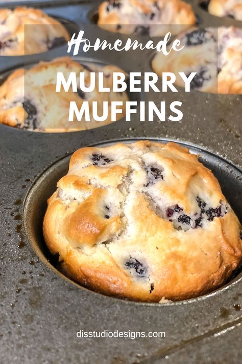 Gluten Free Mulberry Recipes, Mulberry Recipes Muffins, Fresh Mulberry Recipes, What To Do With Mulberries, Mulberry Muffins Recipe, Mulberry Recipes Desserts, Mulberry Desserts, Mullbery Recipe, Mulberry Bread