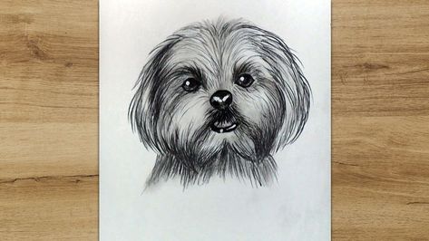 Maltese Drawing, Pencil Drawing Tutorials, Dog Steps, Dog Sketch, Maltese Dog, Maltese Dogs, Landscape Drawings, Dog Drawing, Dog Dog