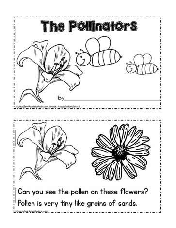 Pollinator Booklet Pollination Activity, Grade 2 Science, Read To Someone, Plants Worksheets, Life Cycles Activities, Plants Unit, Teaching Printables, Kids Worksheets, Butterfly Life Cycle