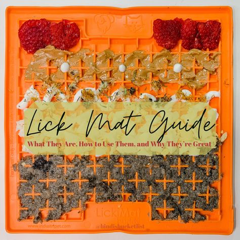 At Home Enrichment For Dogs, Licki Mat Recipes, Lick May Recipes, What To Put On Lick Mats, Recipes For Dog Lick Mats, Frozen Dog Lick Mats, Dog Enrichment Lick Mat, Pet Lick Mat Recipes, Frozen Dog Enrichment