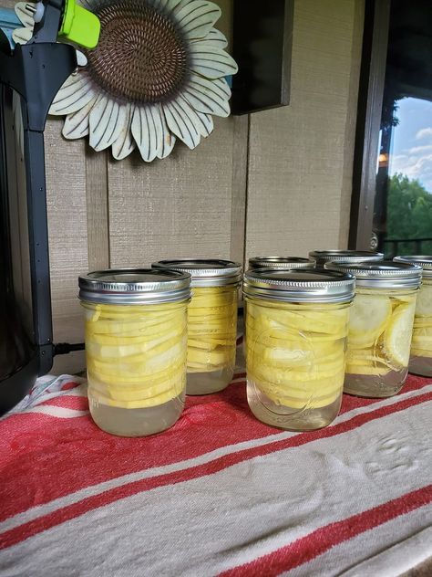 Canning Rebels Public | 7 pts squash for frying hoping they will be good first time trying squash How To Can Squash For Frying, Canning Squash For Frying, Canning Rebels, Canning Squash, Can Squash, Canned Squash, Canning Recipes, Small Batch, Frying