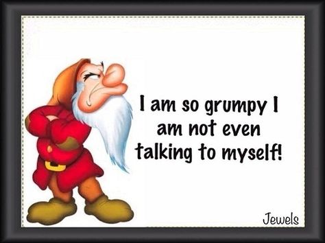 I'm so grumpt I am not even talking to myself Grumpy Meme, Grumpy Quotes, Snow White Cartoon, Le Vel Thrive, Snow White Dwarfs, Grumpy Man, Thrive Experience, 7 Dwarfs, White Cartoon