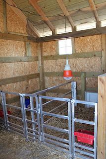 inside of sheep shed, I want to build something similar for goats! Lambing Pens, Sheep Shed, Sheep Shelter, Sheep Barn, Sheep Pen, Goat Shed, Livestock Barn, Goat Shelter, Goat Pen