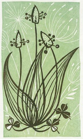 Ribwort Plantain, Angie Lewin, Printmaking Techniques, Artist Prints, Lino Cuts, Lino Printing, Fine Art Printmaking, Lino Prints, Relief Printing