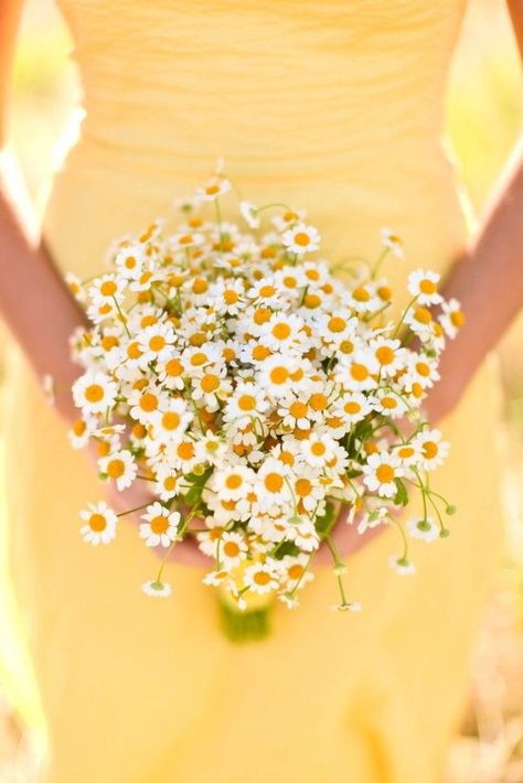 Daisy Bouquet, Yellow Daisy, Sunshine Yellow, Yellow Wedding, Unique Flowers, Here Comes The Bride, Modern Bride, Daisy Flower, Yellow Dress