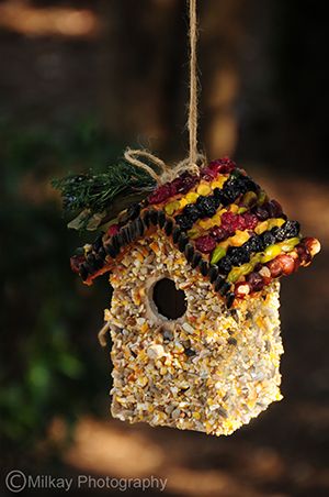 Fruit & Nut Villa Bird Seed Crafts, Edible Birdhouse, Seed Ornaments, Seed Craft, Bird Feeder Craft, Bird Seed Ornaments, Homemade Bird Feeders, Bird Treats, House Village