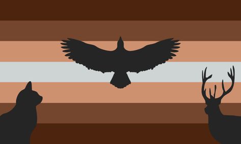 Xenogenders Flags, Different Genders, Flag Maker, Non Gender, Gender Spectrum, Angel Theme, Gender Pronouns, Gender Flags, Gotta Catch Them All