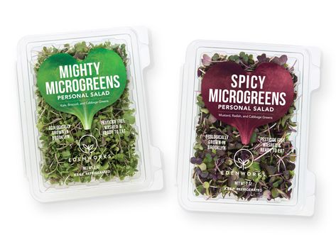 Microgreens Growing, Microgreens Recipe, Salad Packaging, Vegetable Packaging, Harvest Farm, Micro Greens, Growing Microgreens, Food Packaging Design, Best Picture