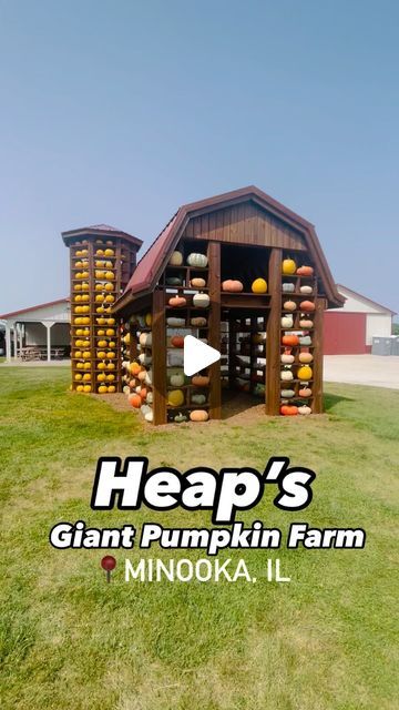 Kelsey | kid friendly fun & food on Instagram: "📍4853 US Highway 52, Minooka, IL 60447

Heap’s Giant Pumpkin Farm is a spot we try to visit every fall. We usually go earlier in the season so we can pick sunflowers 🌻 but they have so much more to explore especially later in the fall!

They have the U-pick flowers and sunflowers until the 15th of September. They have a corn maze, bean maze, u-pick pumpkin patch (opens September 21st), hay rides, farm animals, play houses and structures, a large slide, corn pit and more. 

Entry is $12 per person
2 & under are free
If you go before the u-pick flowers is over in the 15th you can get a mason jar for $16 to fill with as many flowers as you can. Your entry includes one sunflower you can cut but the addition flowers can be purchased. 

Hours:
10 Corn Pit For Kids, Pumpkin Patch Farm, Pick Flowers, Hay Rides, Giant Pumpkin, Pumpkin Farm, Corn Maze, Lets Do It, Fun Food