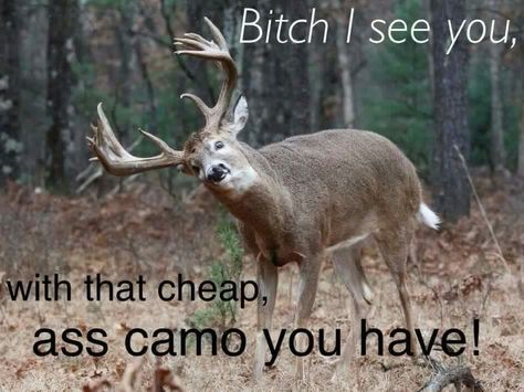 Camo Funny Hunting Pics, Hunting Quotes Funny, Deer Hunting Humor, Hunting Jokes, Hunting Quotes, Funny Deer, Hunting Humor, Country Jokes, What Is Seo