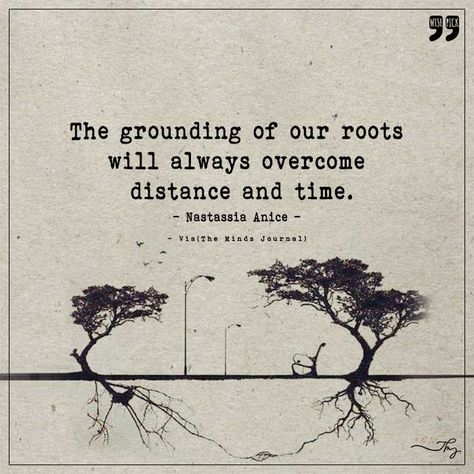 Grounding of our roots - http://themindsjournal.com/grounding-of-our-roots/ Back To My Roots Quotes, Roots Quotes Family, Back To Roots Quotes, Our Roots Run Deep Our Love Runs Deeper, Tree Roots Quote, Roots Quotes Inspiration, Your Roots Quotes, Quotes About Roots, Rooted Quotes