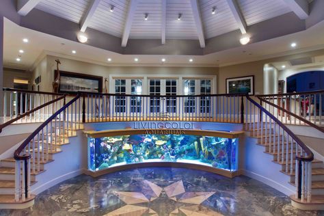 Custom Aquarium, Big Aquarium, Amazing Aquariums, Cool Fish Tanks, Double Staircase, Aquarium Terrarium, Cool Fish, Home Aquarium, Home Stairs Design