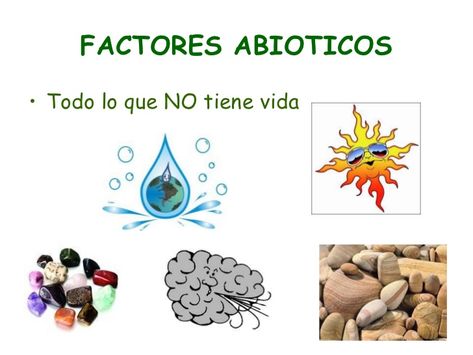 Factores abioticos de un ecosistema. Ariel Bebe, Baby Shower Unisex, Unisex Baby Shower, Science, Baby Shower, Art