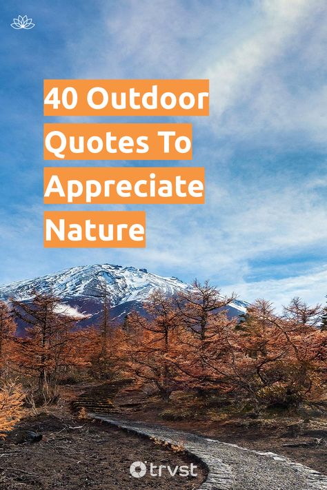 Stir your soul with our collection of outdoor quotes 🌳. From tranquility seekers to thrill-chasers, find the perfect words to ignite your love for the great outdoors 🏕. Rekindle your connection with nature now - enjoy, share and inspire! 🌞 #NatureLove #OutdoorQuotes #AdventureTime #Wanderlust #NatureAppreciation Enjoy Nature Quotes, Quotes From Authors, Body Quotes, Equality And Diversity, Connection With Nature, 40th Quote, World Quotes, Beautiful Yards, Positive Living