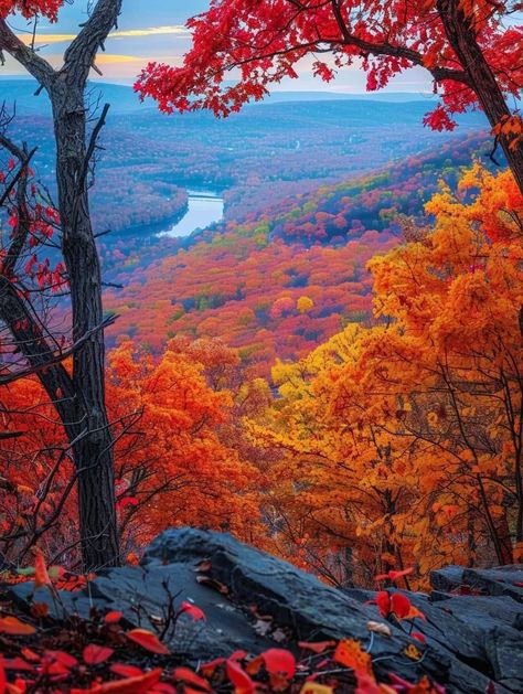 Pennsylvania Fall, Fall Wallpapers, Pocono Mountains, Beautiful Landscape Photography, Iphone Wallpaper Fall, Autumn Magic, Autumn Scenery, Autumn Beauty, Fall Pictures