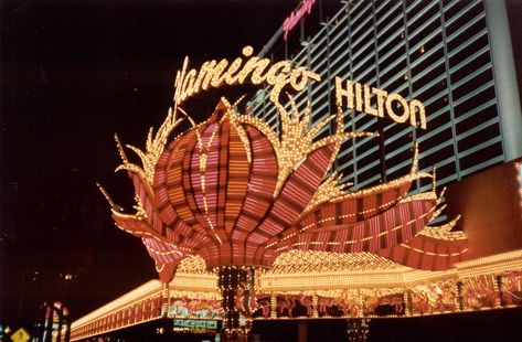 0979 The Flamingo Hilton Las Vegas, NV 1989 Las Vegas Flamingo, Las Vegas Hilton, Vegas Baby, Vintage Photo, Vintage Photos, Flamingo, Las Vegas