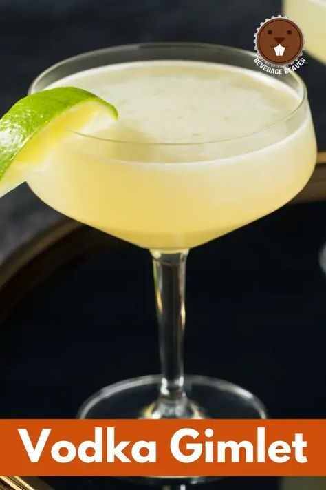 Vodka Gimlet Recipe, Vodka Based Cocktails, Best Vodka Cocktails, Vodka Gimlet, Gimlet Cocktail, Gimlet, Vodka Cocktails Recipes, Old Fashioned Glass, Vodka Cocktails