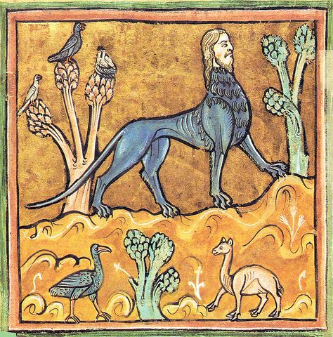 Manticore (Medieval Bestiary)

Manticore from a medieval Bestiary in Latin language. Scorpion Tail, Medieval Bestiary, Porcupine Quills, Ancient Persian, Mythical Beast, Legendary Creature, Medieval Manuscript, Mythological Creatures, Weird Creatures