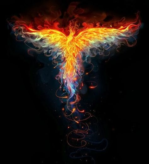 Beautiful representation of the phoenix Phoenix Artwork, Phoenix Images, Phoenix Tattoo Design, Phoenix Art, Rise From The Ashes, Charcoal Drawings, Phoenix Rising, Phoenix Bird, Phoenix Tattoo