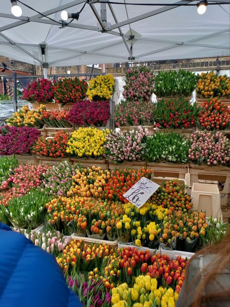 Columbia road flower market Columbia Road Flower Market, Columbia Road, Flower Market, Tulips, Columbia, Road, Flowers